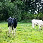 Hotel In Den Roden Leeuw Limburg 3*