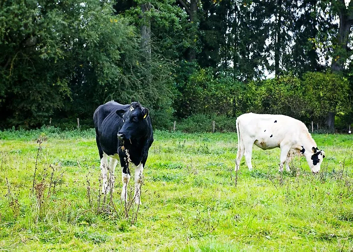 Otel In Den Roden Leeuw Limburg 3*