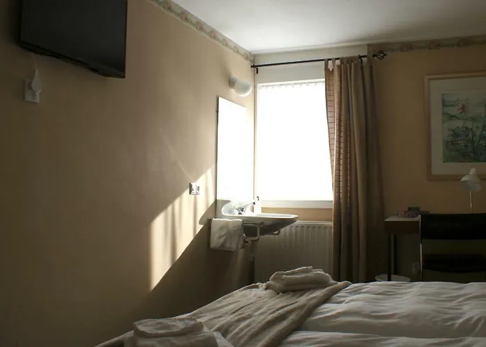 In Den Roden Leeuw Limburg Otel 3*